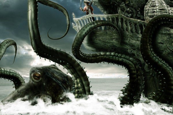 Kraken20 at