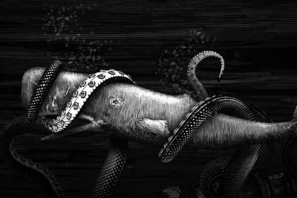 Kraken whitenet tor
