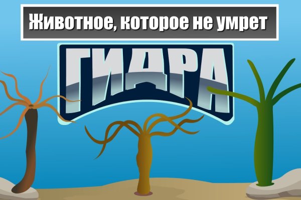Услуги супернета