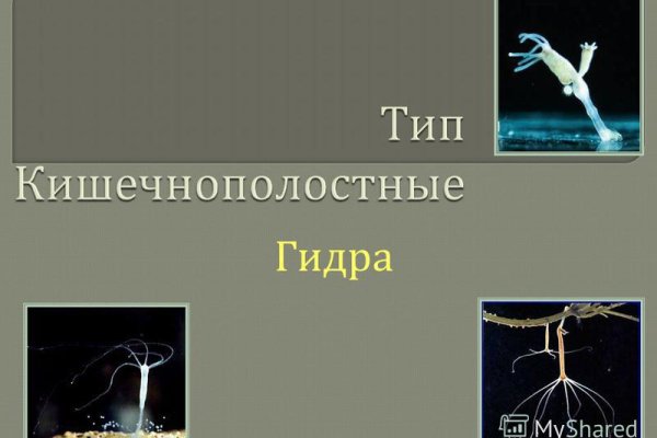 Открыть супернет