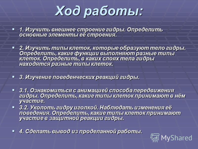 Kraken вход kraken torion