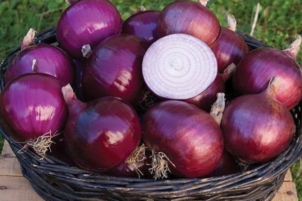 Kraken адрес onion
