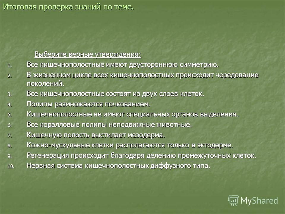 Кракен зеркало на сайт